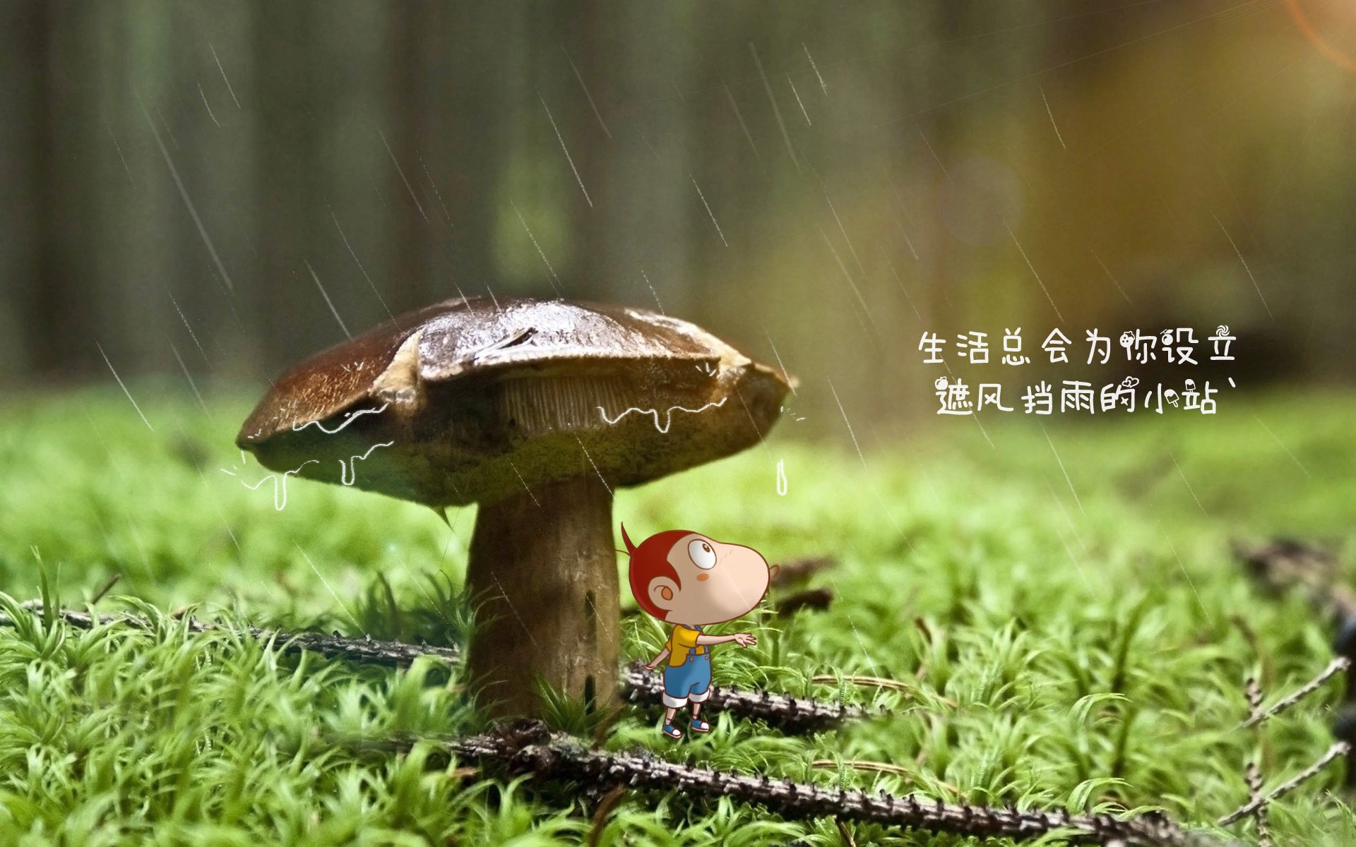 T1战术打法多样化，t+1打法