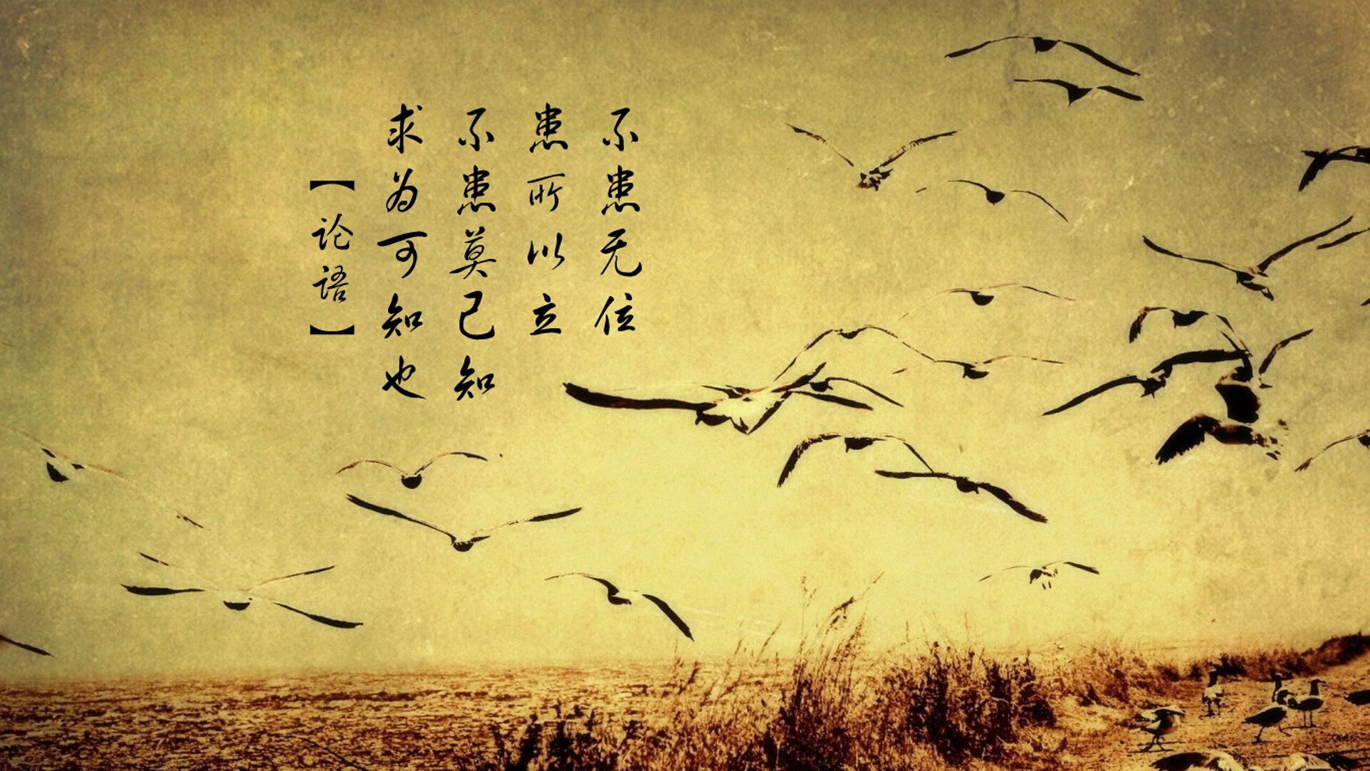 尤文图斯大将破门得分，团结一心赢得胜利，尤文图斯的门将是谁