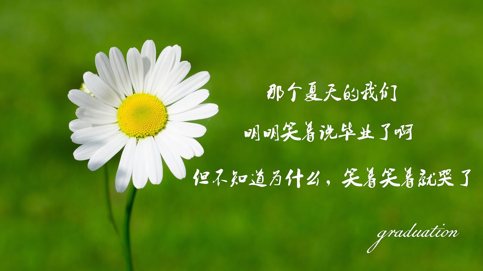 意外羽毛球赛中断电风波，羽毛球事故