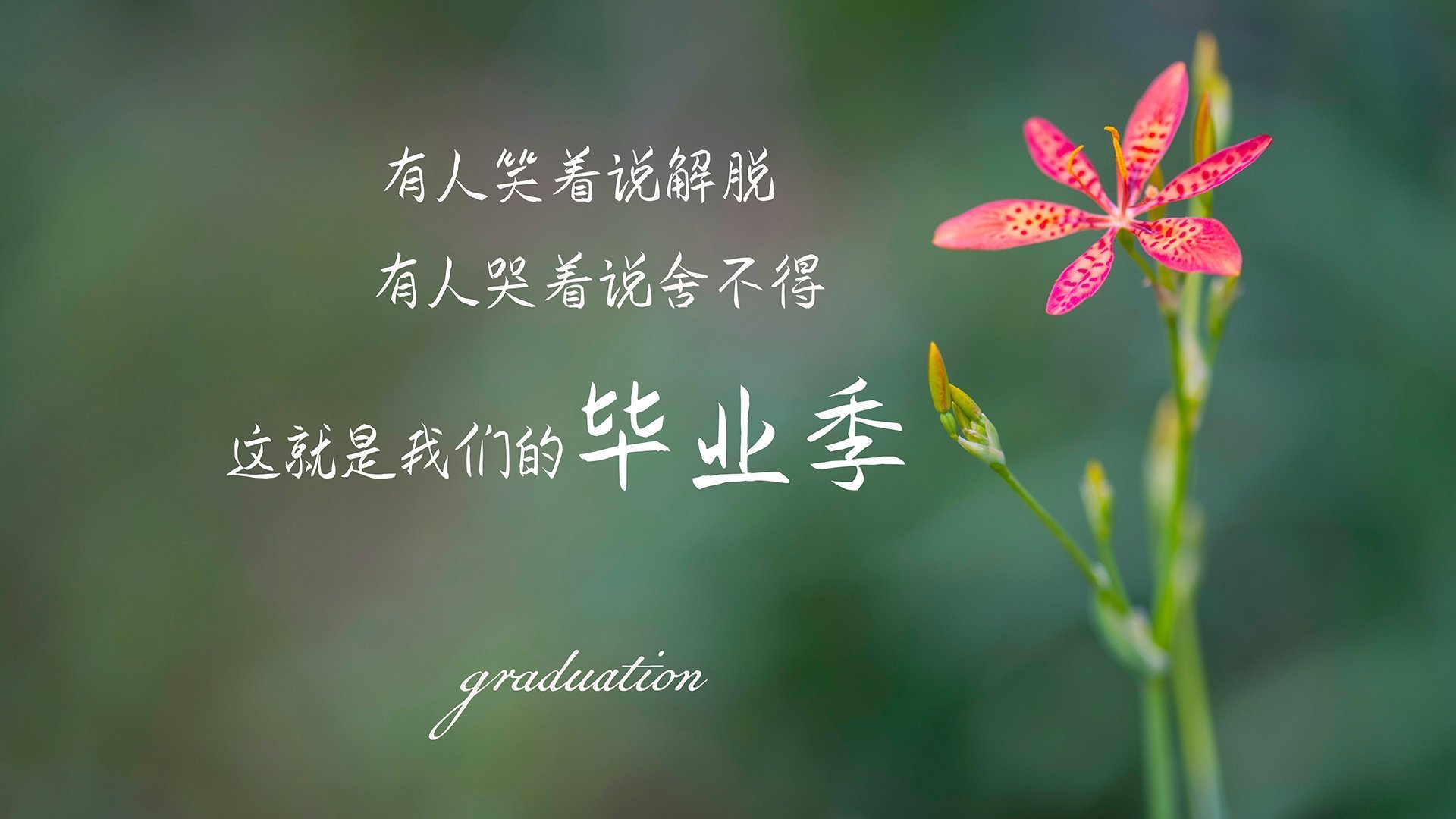曼城中场德布劳内多次助攻，展现出色发挥，曼城德布劳内位置
