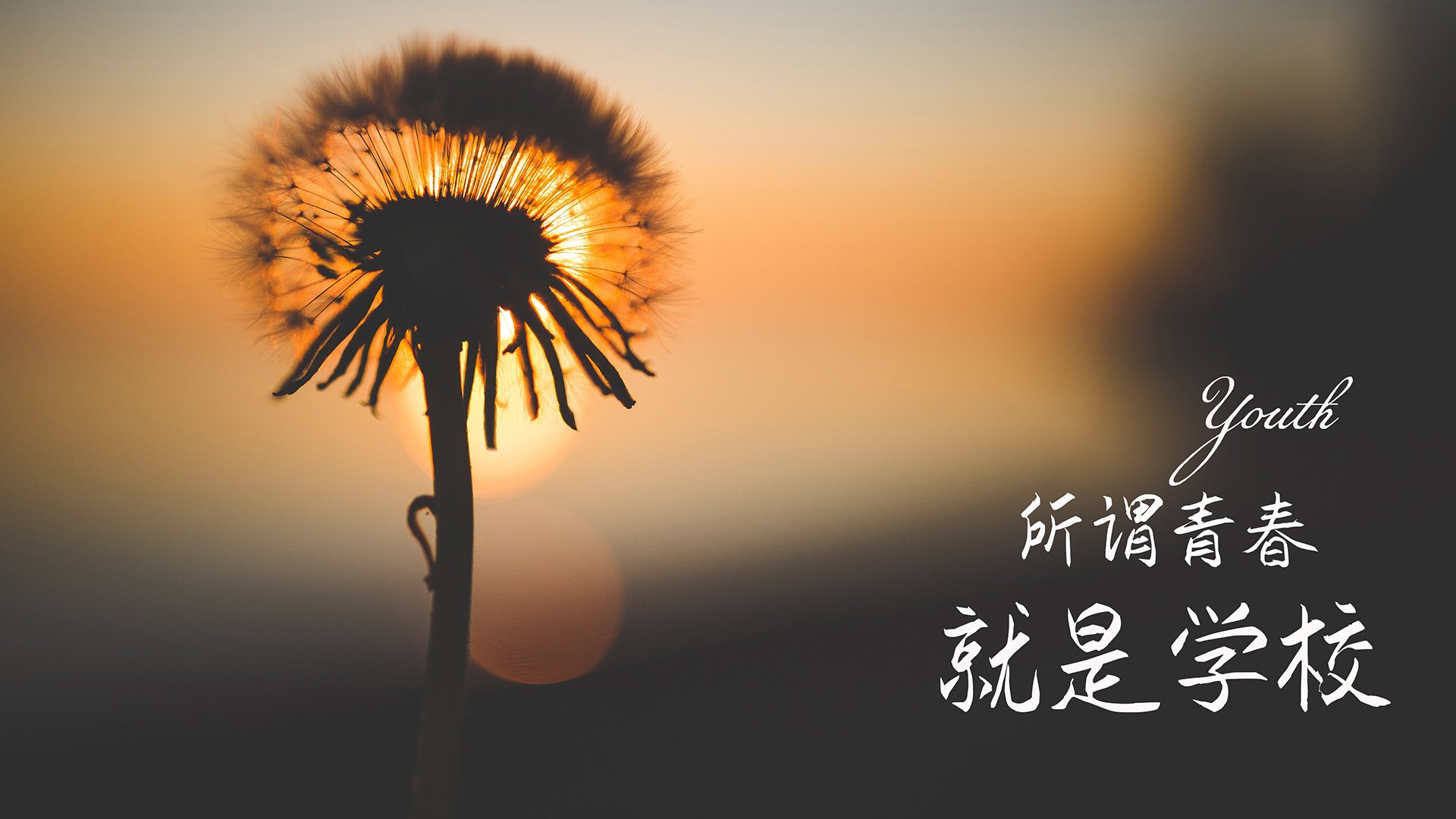 柏林联合主场1-1战平拜仁慕尼黑，收获平局，柏林联合对拜仁慕尼黑