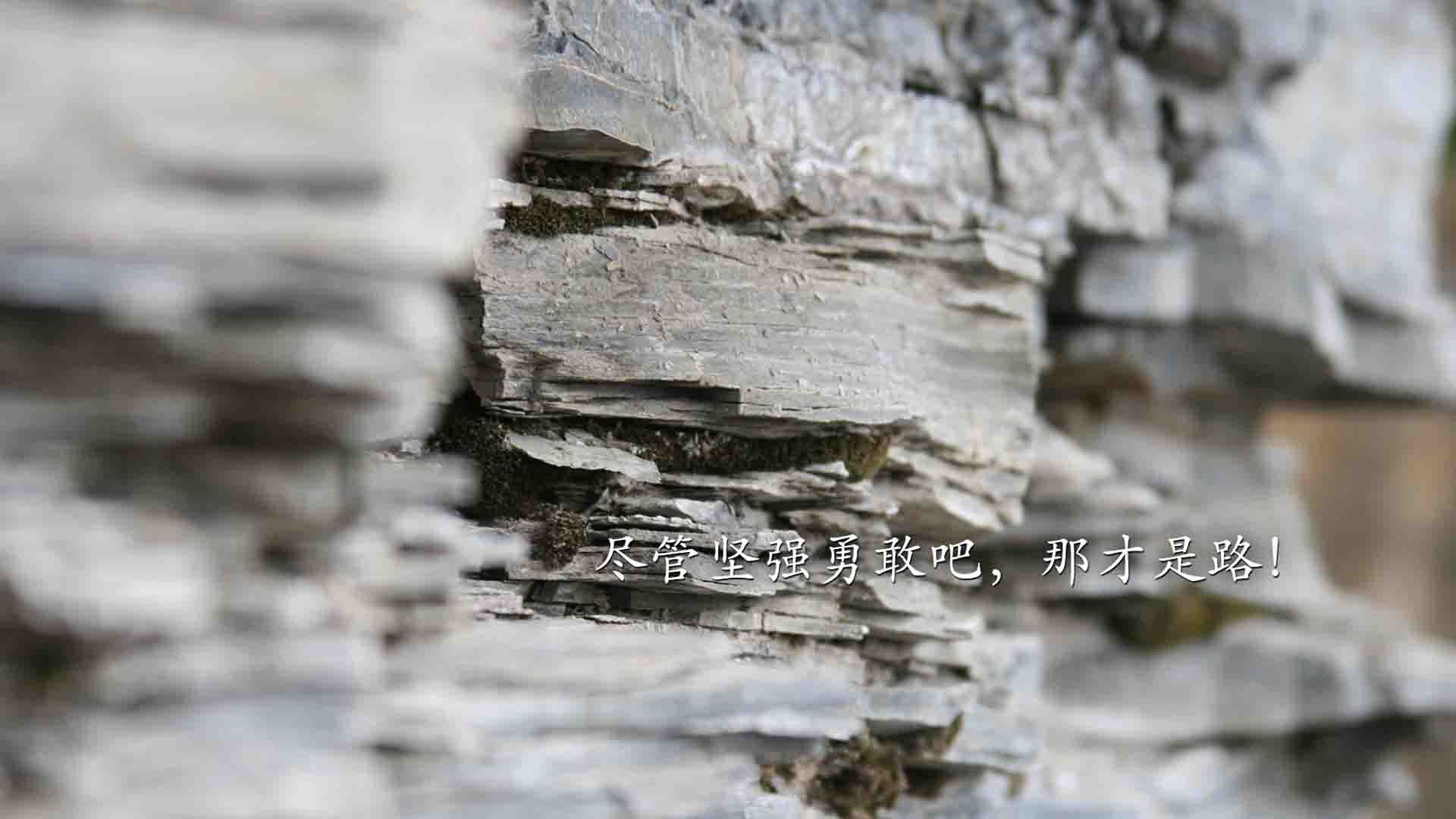 体育新闻中心推动体育赛事版权保护法律框架完善，体育赛事媒体
