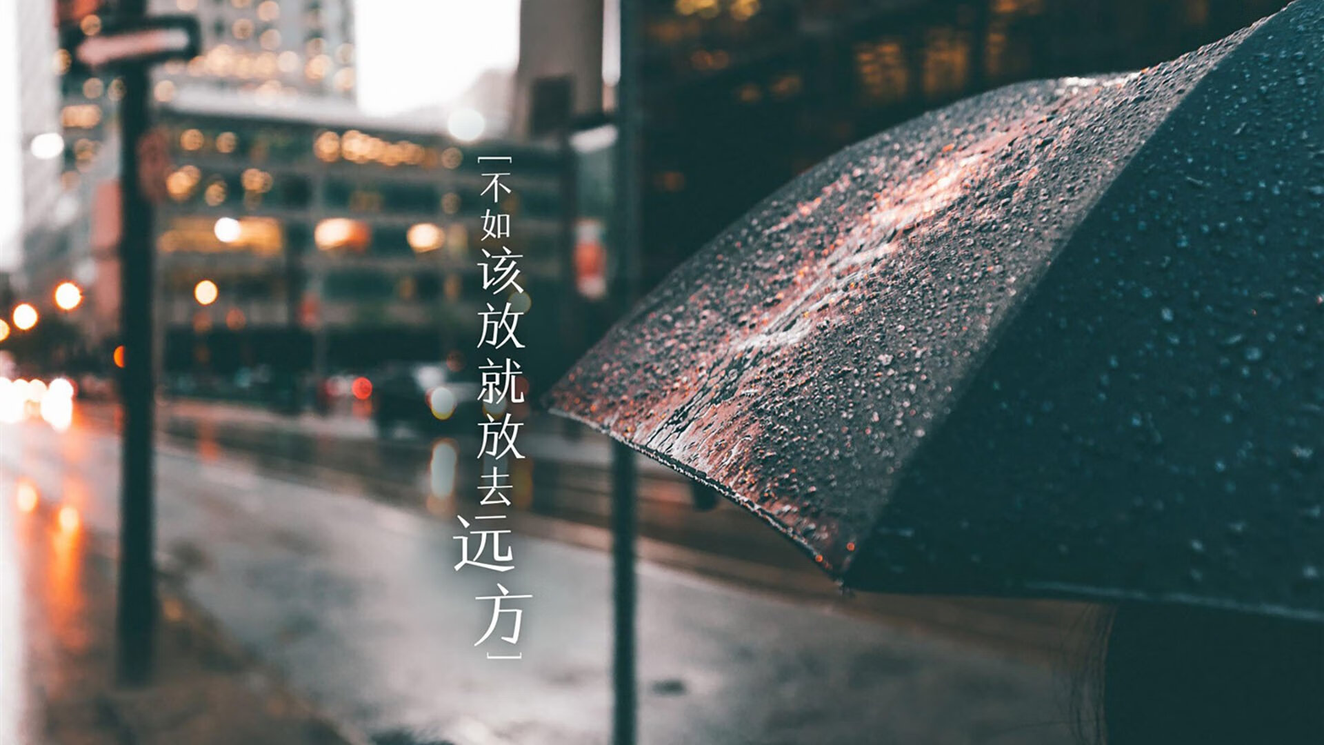 强化高强度对抗训练，适应世界比赛节奏，进行高强度训练