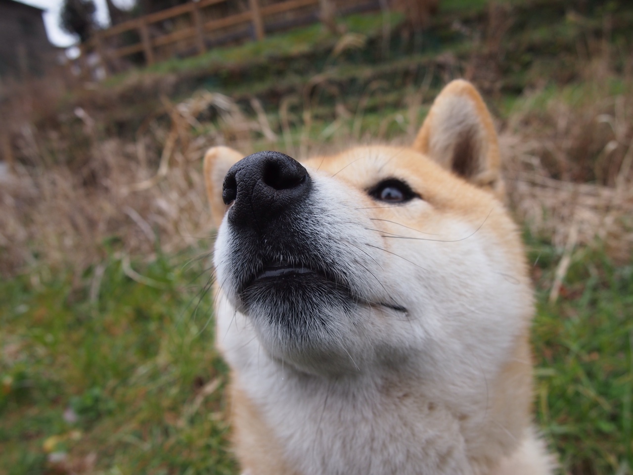 足球解说缺乏专业化人才储备，足球解说员需要什么条件