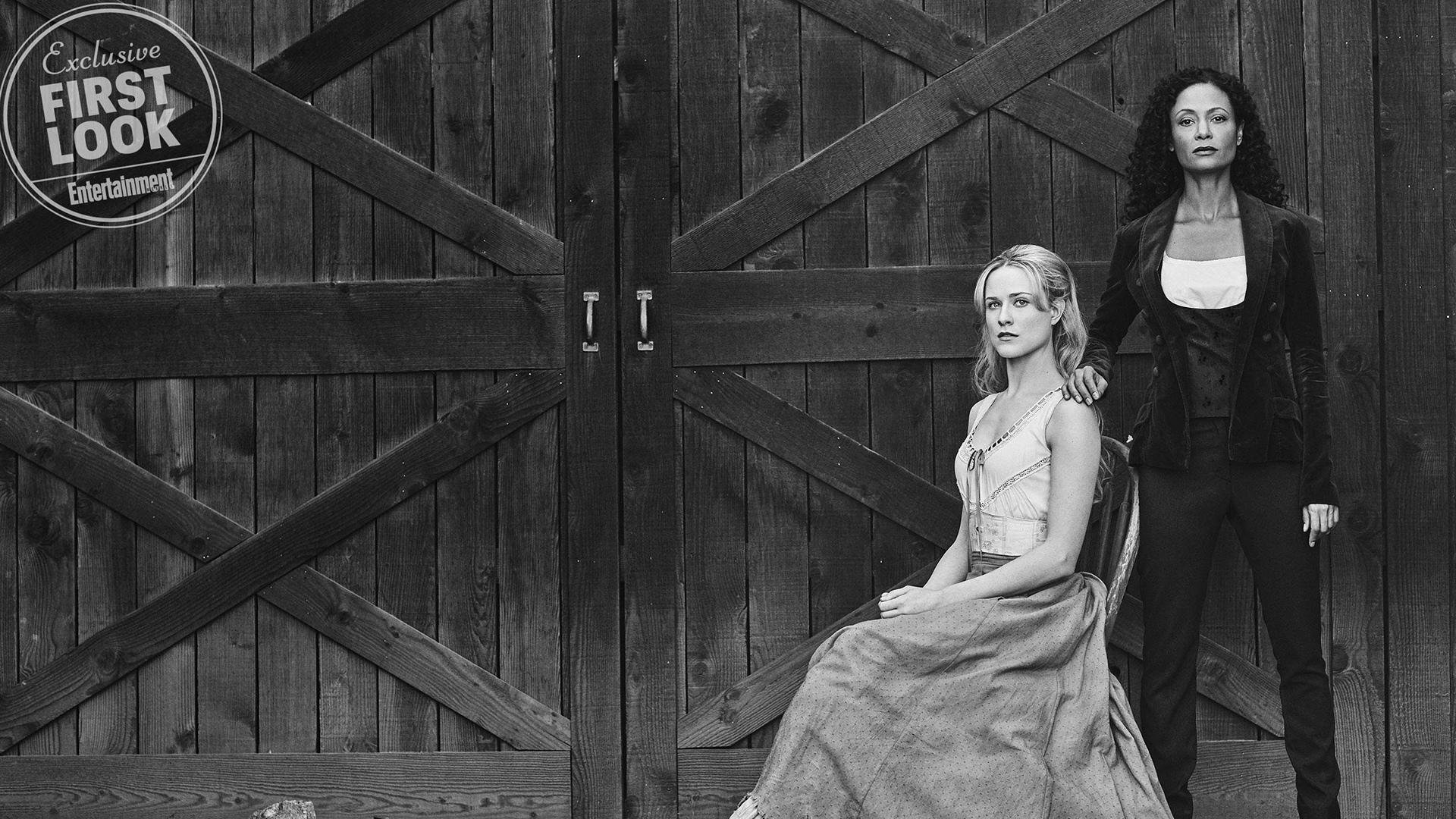 荷兰混合泳个人项目展现全面实力，秒懂百科荷兰